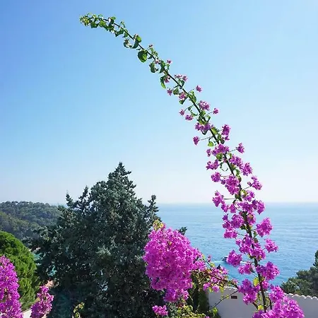 Casa Olive Vakantiehuis
